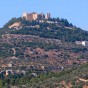 مدينة عجلون