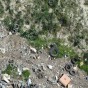 نفايات ملقاة في الغابة
