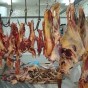 الصورة تعبيرية