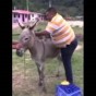 مقطع من الفيديو