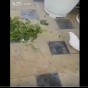 صورة من الفيديو