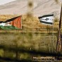 الحدود الاردنية الاسرائيلية - ارشيفية