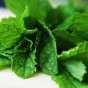 فوائد النعناع كثيرة