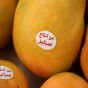 فواكه " اسرائيلية " في الاسواق الاردنية