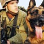 كلب وجندي اسرائيلي