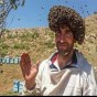 صورة مربي النحل التركي الذي غطاه النحل
