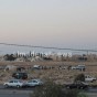 الأمن العام في موقع الجريمة - الصورة من قراء المدينة
