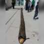صورة متداولة للعمود الخشبي الذي سقط في المدرسة