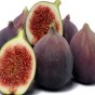 التين غني بالألياف