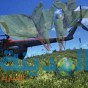 القات - أرشيفية