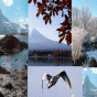 untitled.gif