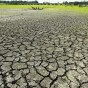جفاف - تعبيرية