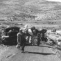 أرشيفية - لاجئون فلسطينيون عام 1948