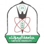 جامعة اليرموك