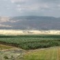 الاغوار