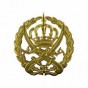شعار القوات المسلحة الاردنية / الجيش العربي - أرشيفية