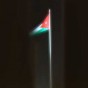 71555.jpg