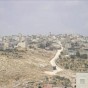 74458.jpg