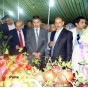 مهرجان الرمان - ارشيفية