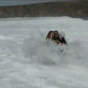 76545.gif