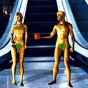 77674.gif