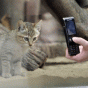 77725.gif
