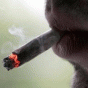 78063.gif