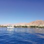 العقبة