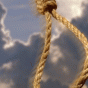 80379.gif