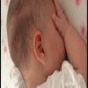 80408.gif
