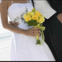 80522.gif
