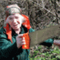 80679.gif