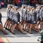 80731.jpg