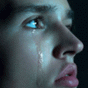 82553.gif