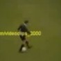 82586.jpg