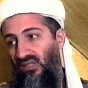 83947.gif