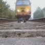 84553.jpg