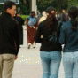 85356.gif