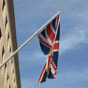 85372.gif