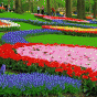 85544.gif