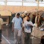سجن النقب الصحراوي