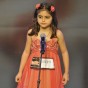 86010.jpg
