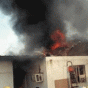 89336.gif