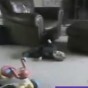 89368.jpg
