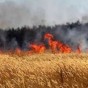 حريق مزرعة قمح