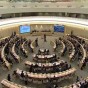 مجلس حقوق الإنسان - أرشيفية