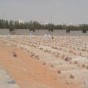 مقبرة في السعودية