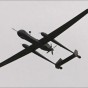 91059.jpg