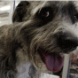 91621.gif