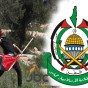 صورة من الانتفاضة الفلسطينية الثالثة وشعار حركة حماس